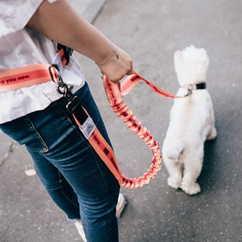 Running Jogging Gear - Adjustable Hand Free Dog Leash for