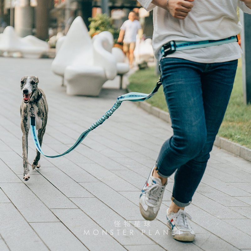 Adjustable Hand Free Dog Leash - Running Jogging Gear 评论和价格