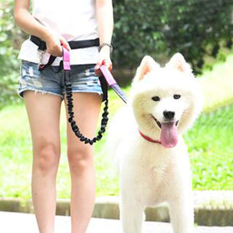 Adjustable Hand Free Dog Leash - Running Jogging Gear 评论和价格